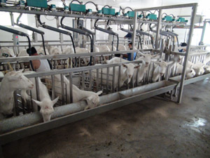 ������(918)�ٷ���վ - ���������