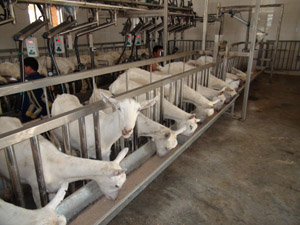 ������(918)�ٷ���վ - ���������