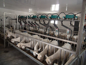 ������(918)�ٷ���վ - ���������