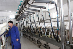 ������(918)�ٷ���վ - ���������