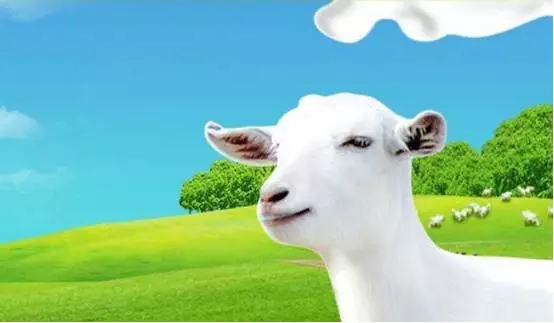 博天堂(918)官方网站 - 让你更精彩