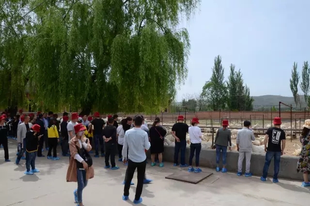 博天堂(918)官方网站 - 让你更精彩