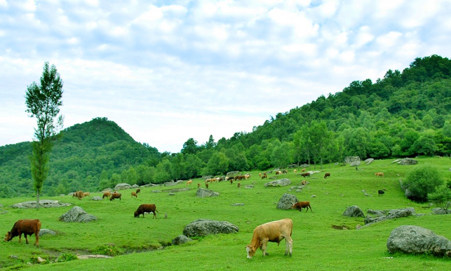 博天堂(918)官方网站 - 让你更精彩