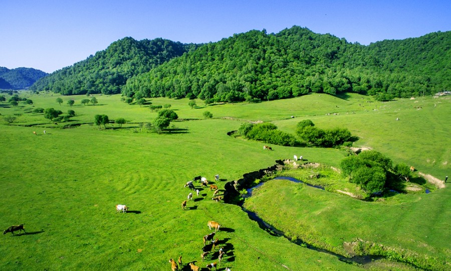 博天堂(918)官方网站 - 让你更精彩