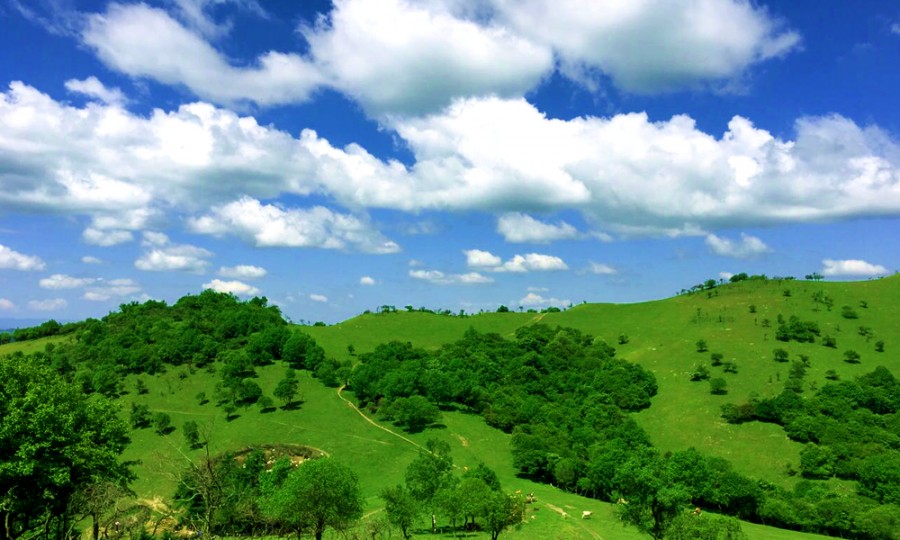 博天堂(918)官方网站 - 让你更精彩