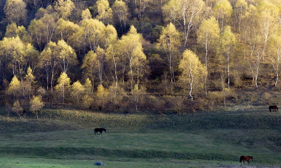 博天堂(918)官方网站 - 让你更精彩