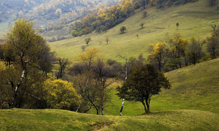 博天堂(918)官方网站 - 让你更精彩