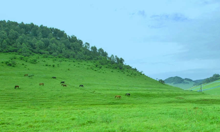 博天堂(918)官方网站 - 让你更精彩
