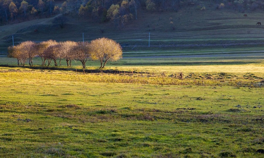 博天堂(918)官方网站 - 让你更精彩