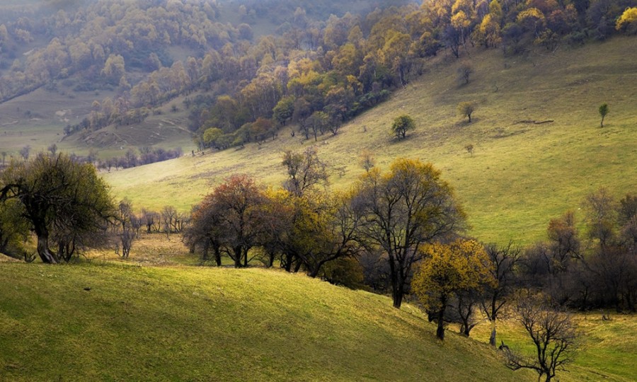 博天堂(918)官方网站 - 让你更精彩