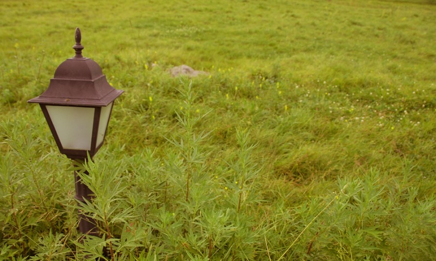 博天堂(918)官方网站 - 让你更精彩