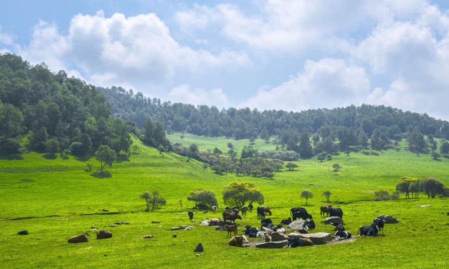 博天堂(918)官方网站 - 让你更精彩