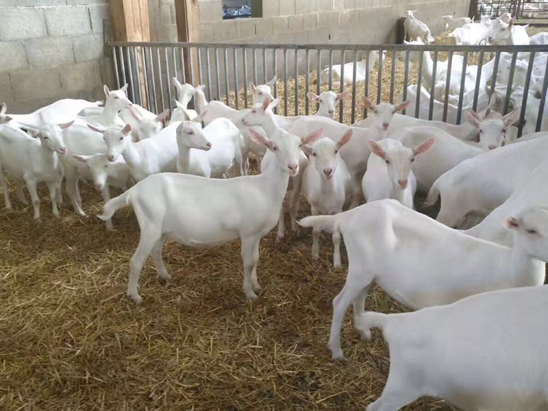 博天堂(918)官方网站 - 让你更精彩