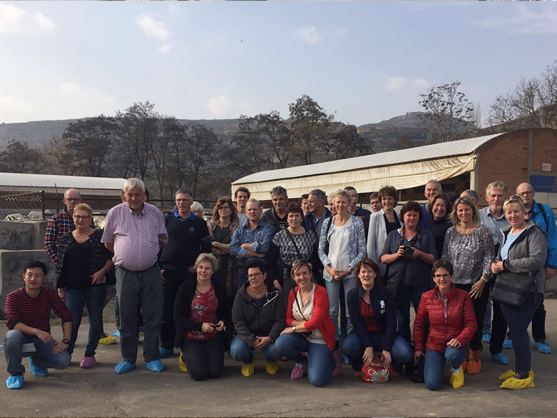 博天堂(918)官方网站 - 让你更精彩