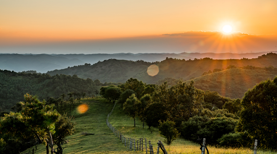 博天堂(918)官方网站 - 让你更精彩