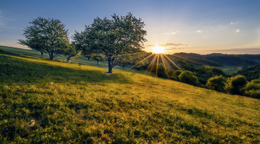 博天堂(918)官方网站 - 让你更精彩