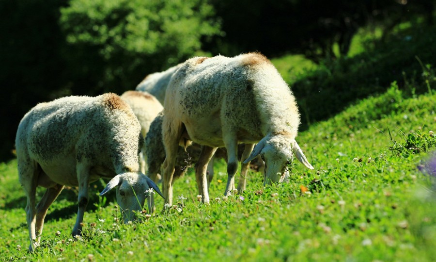 博天堂(918)官方网站 - 让你更精彩