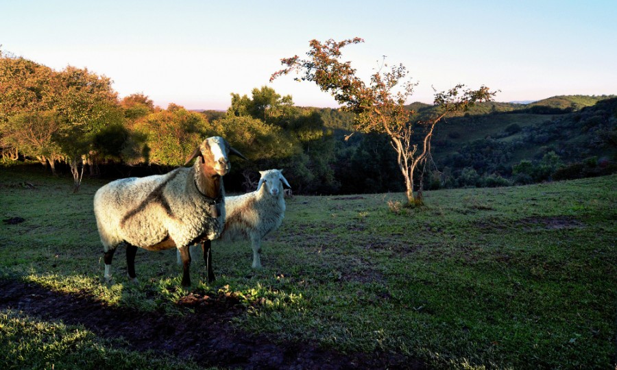 博天堂(918)官方网站 - 让你更精彩