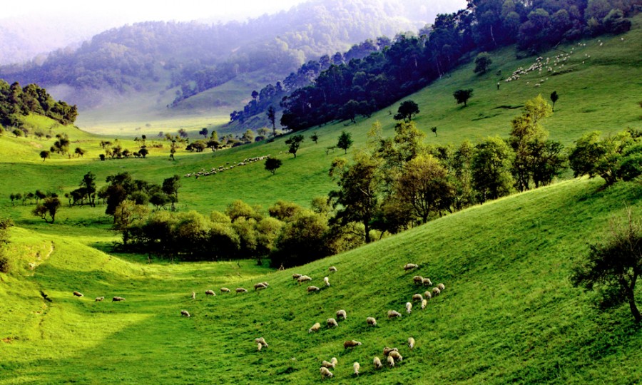 博天堂(918)官方网站 - 让你更精彩