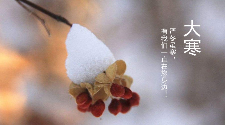 博天堂(918)官方网站 - 让你更精彩