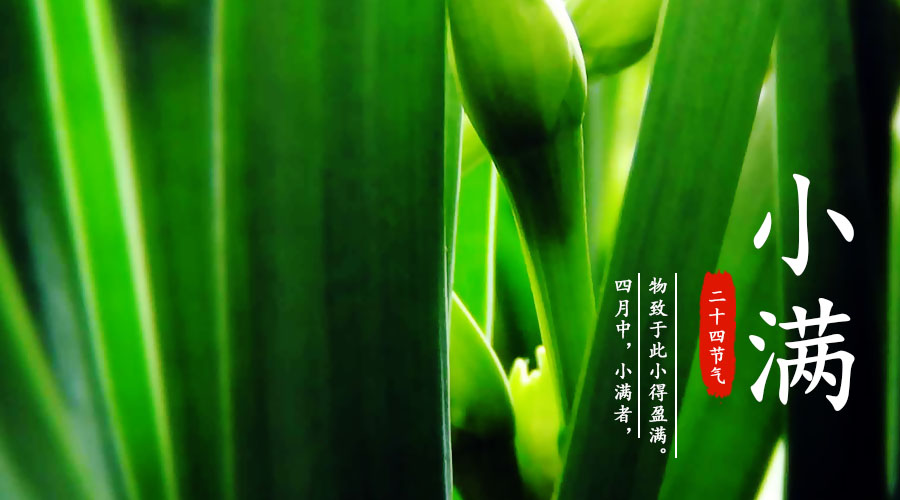 博天堂(918)官方网站 - 让你更精彩