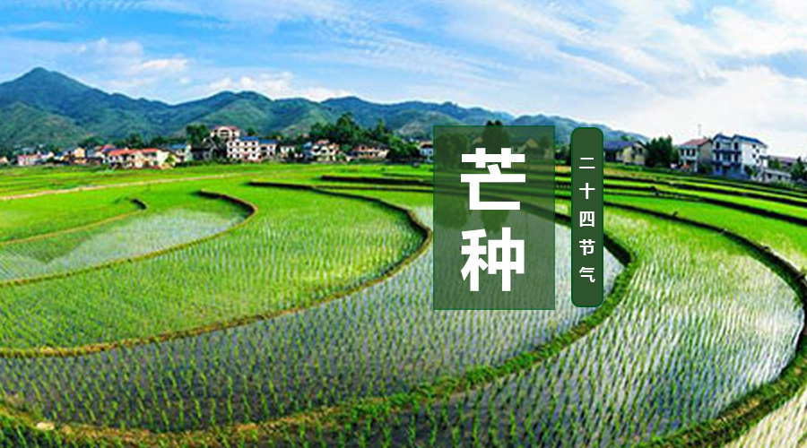 博天堂(918)官方网站 - 让你更精彩