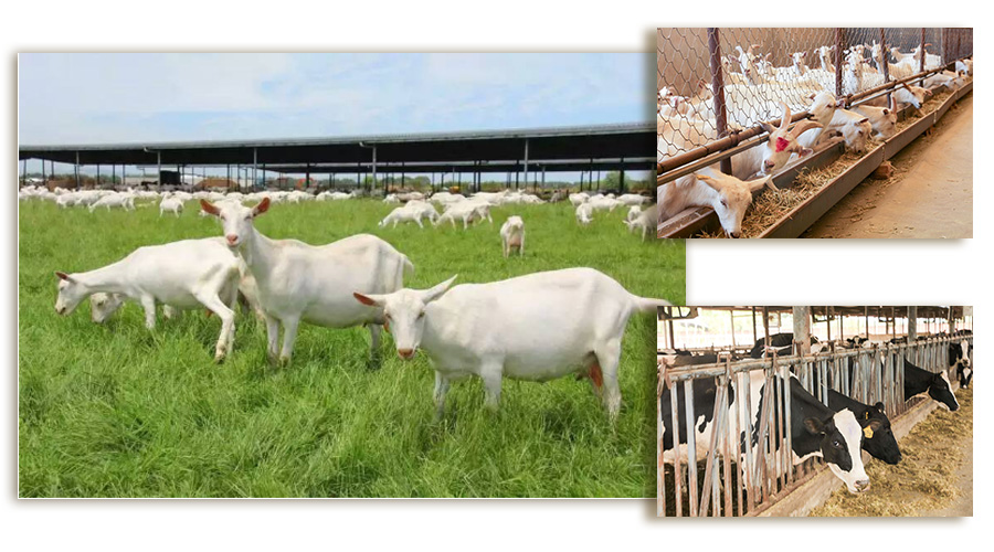 博天堂(918)官方网站 - 让你更精彩