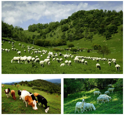 博天堂(918)官方网站 - 让你更精彩