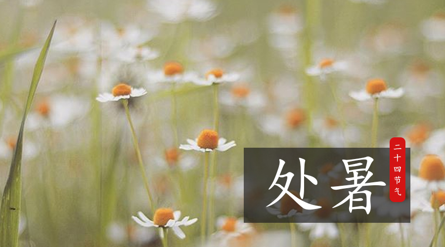 博天堂(918)官方网站 - 让你更精彩