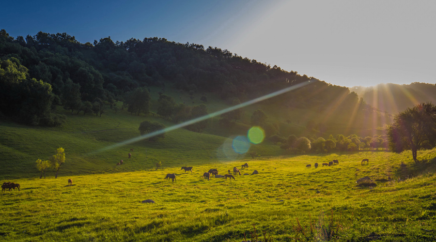 博天堂(918)官方网站 - 让你更精彩