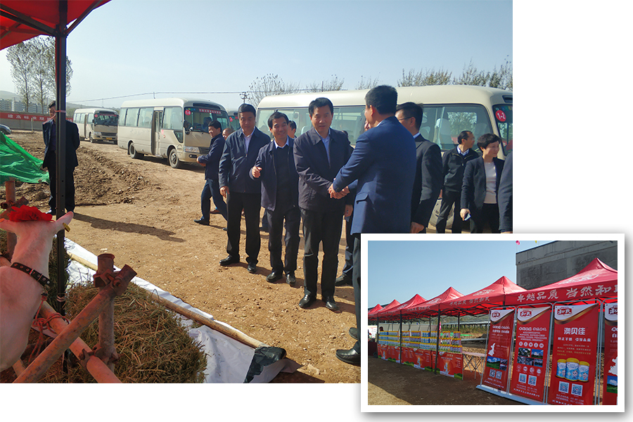 博天堂(918)官方网站 - 让你更精彩