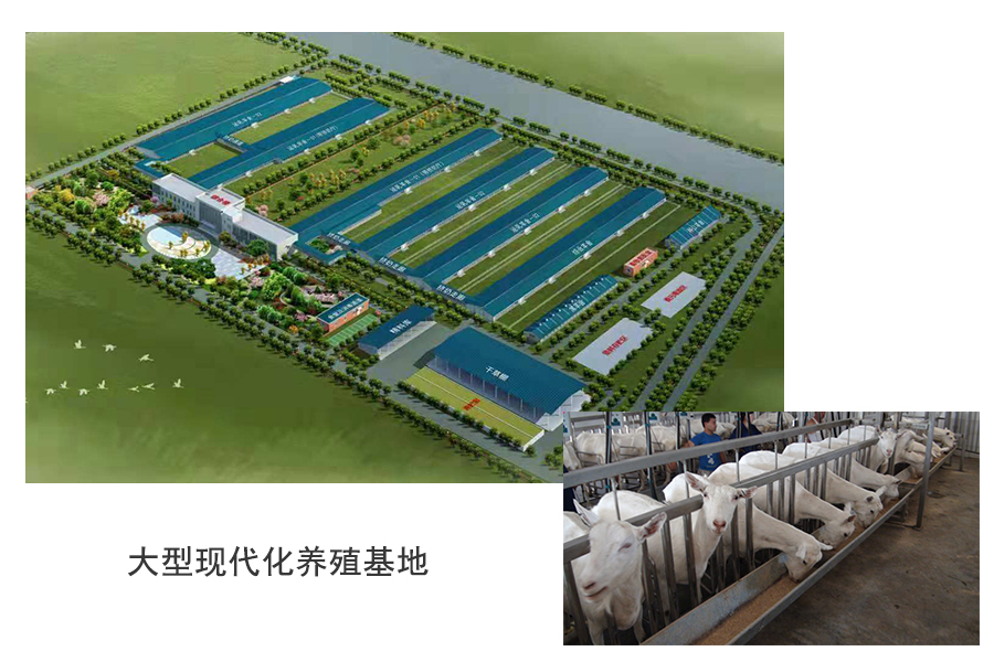 博天堂(918)官方网站 - 让你更精彩