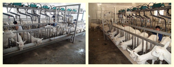 博天堂(918)官方网站 - 让你更精彩