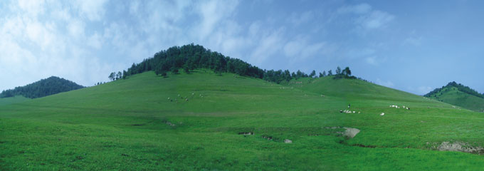 博天堂(918)官方网站 - 让你更精彩