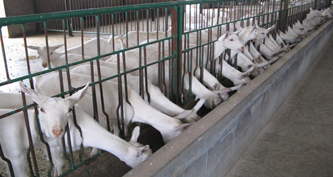 博天堂(918)官方网站 - 让你更精彩