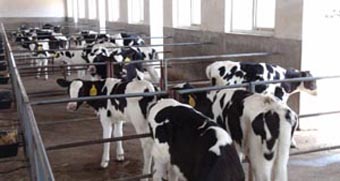 博天堂(918)官方网站 - 让你更精彩