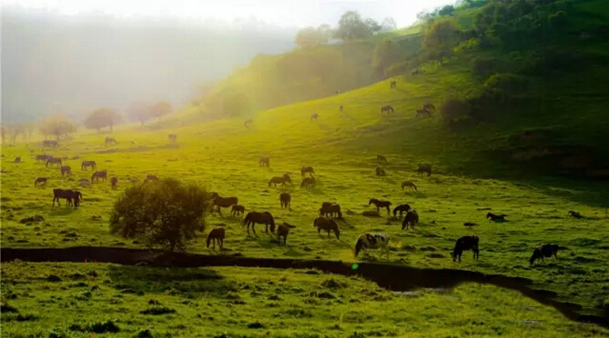 博天堂(918)官方网站 - 让你更精彩