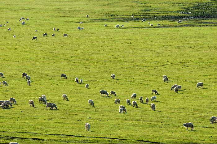 博天堂(918)官方网站 - 让你更精彩