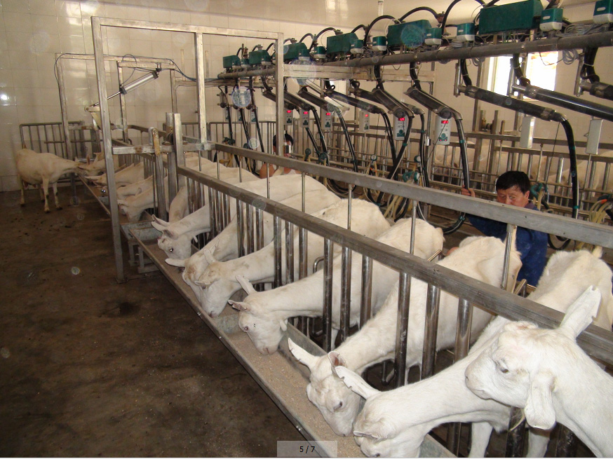 博天堂(918)官方网站 - 让你更精彩