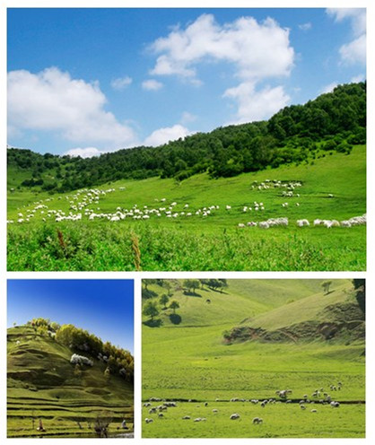 博天堂(918)官方网站 - 让你更精彩