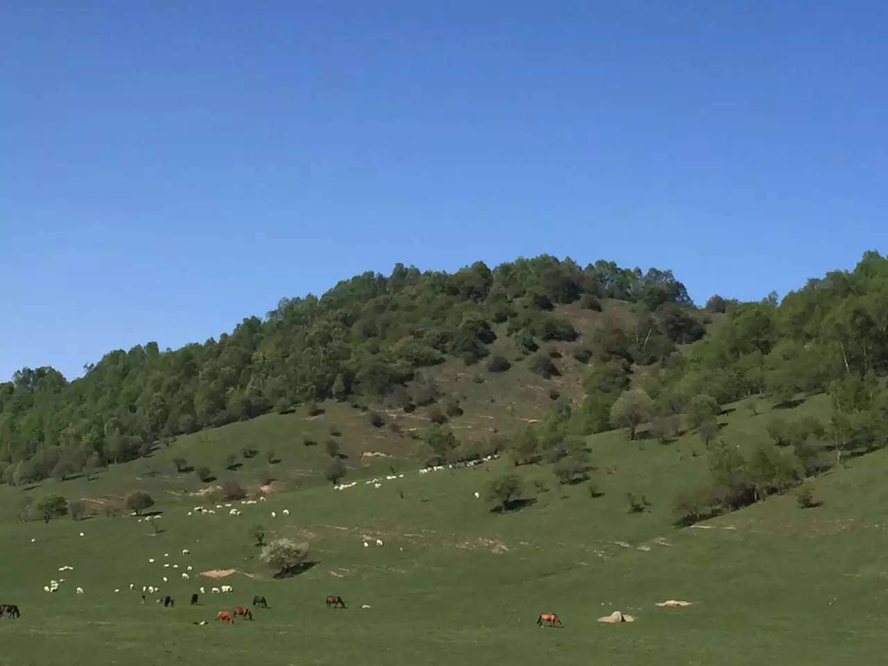 博天堂(918)官方网站 - 让你更精彩