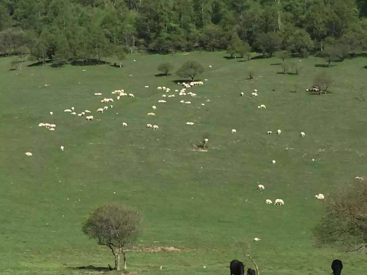 博天堂(918)官方网站 - 让你更精彩