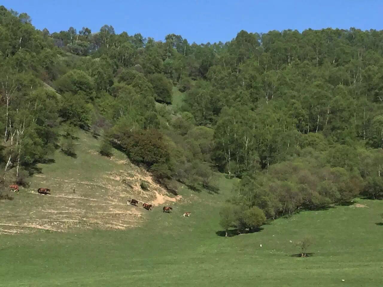 博天堂(918)官方网站 - 让你更精彩