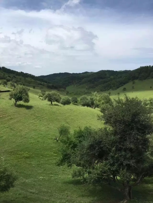 博天堂(918)官方网站 - 让你更精彩