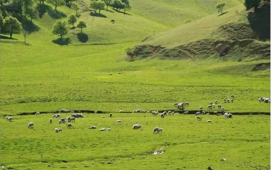 博天堂(918)官方网站 - 让你更精彩