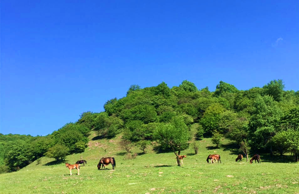 博天堂(918)官方网站 - 让你更精彩
