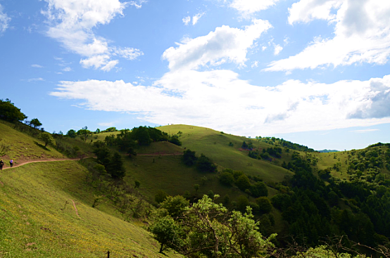 博天堂(918)官方网站 - 让你更精彩