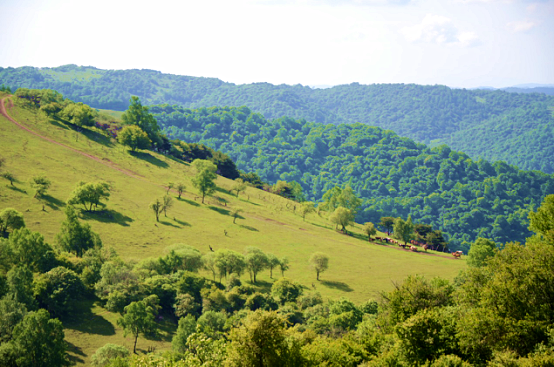 博天堂(918)官方网站 - 让你更精彩