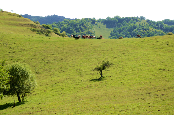 博天堂(918)官方网站 - 让你更精彩