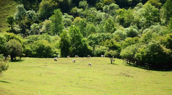 博天堂(918)官方网站 - 让你更精彩